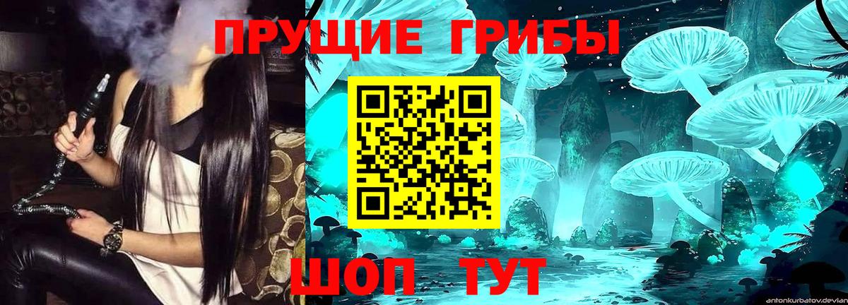 Псилоцибиновые грибы Psilocybe  Галлюциногенные грибы GOLDEN TEACHER  где купить наркоту  Саратов  Вход с VPN 